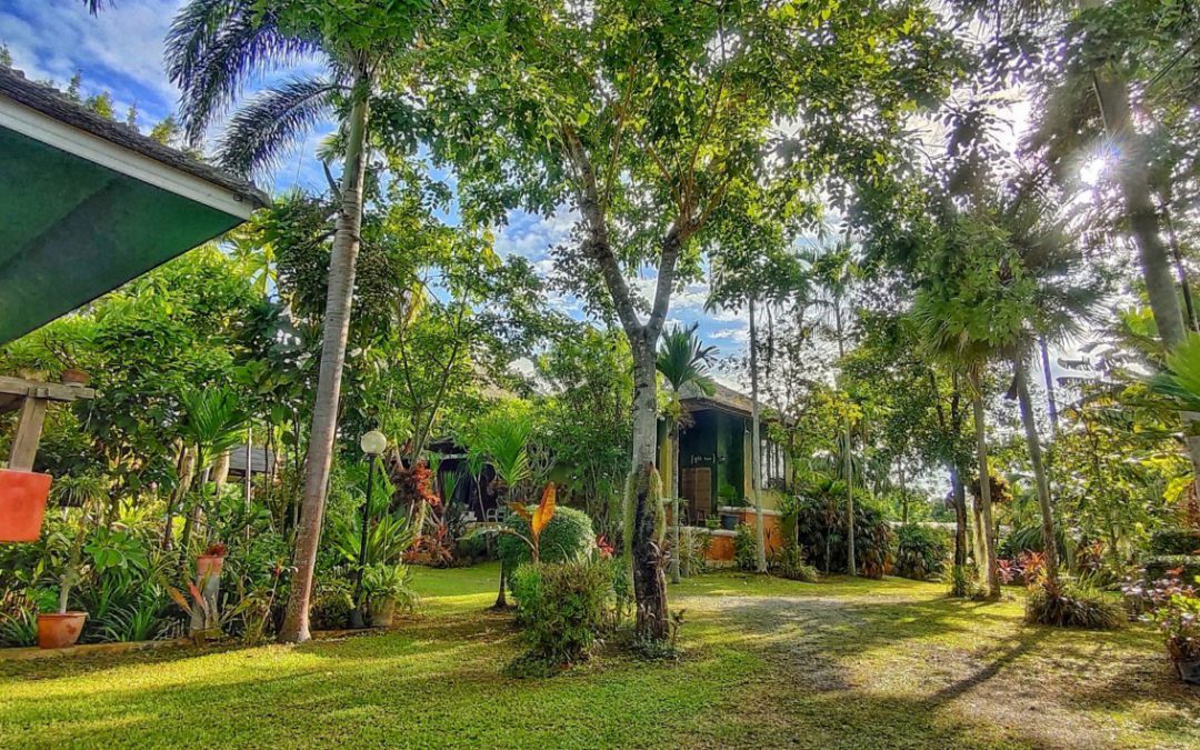 The scene is illuminated by bright sunlight, highlighting the rich colors of the foliage.