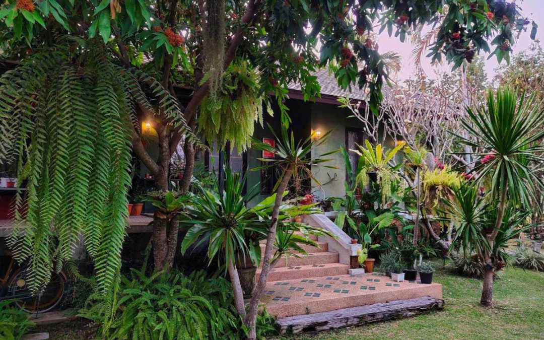 A Peaceful Escape: Discovering the Best Homestay in Chiang Mai
