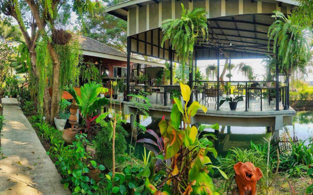 Beyond the Hotel Room: Finding the Heart of Northern Thailand