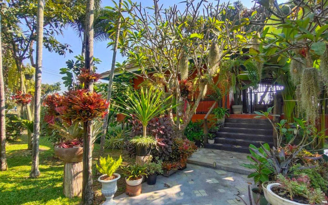 Discover Your Home Away From Home: Why This Is the Best Homestay in Chiang Mai