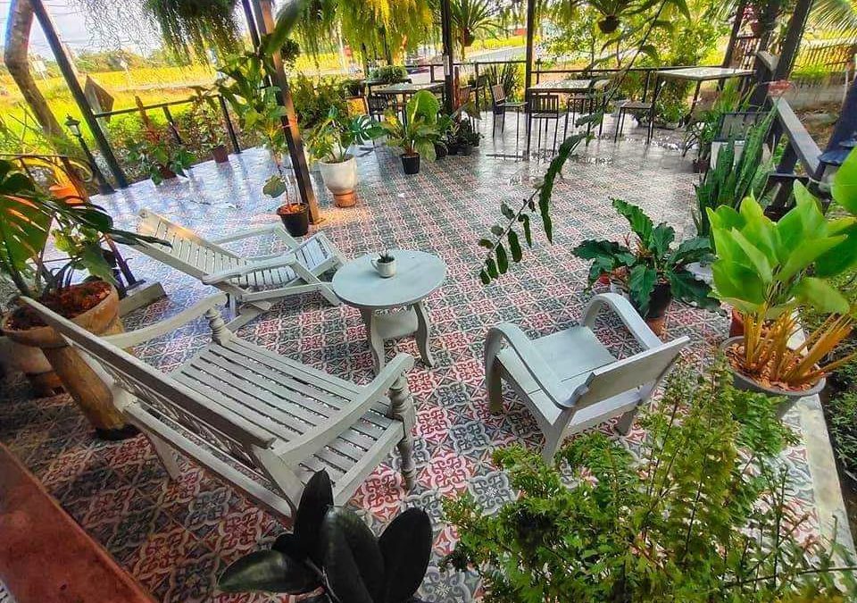 Finding the Best Homestay in Chiang Mai